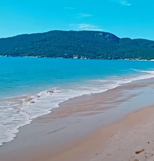 Florianópolis Quarto Nos Ingleses Em Casa Compartilhada,Sem Banheiro Privativo 아파트 외부 사진
